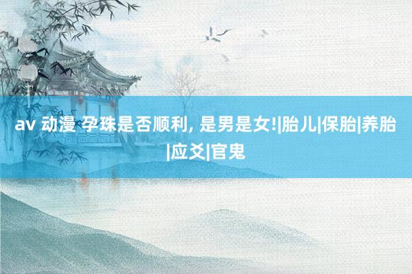 av 动漫 孕珠是否顺利， 是男是女!|胎儿|保胎|养胎|应爻|官鬼