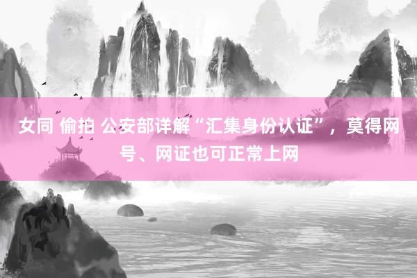 女同 偷拍 公安部详解“汇集身份认证”，莫得网号、网证也可正常上网