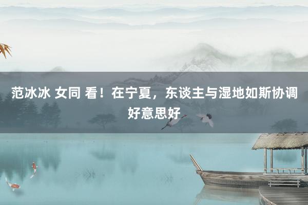 范冰冰 女同 看！在宁夏，东谈主与湿地如斯协调好意思好