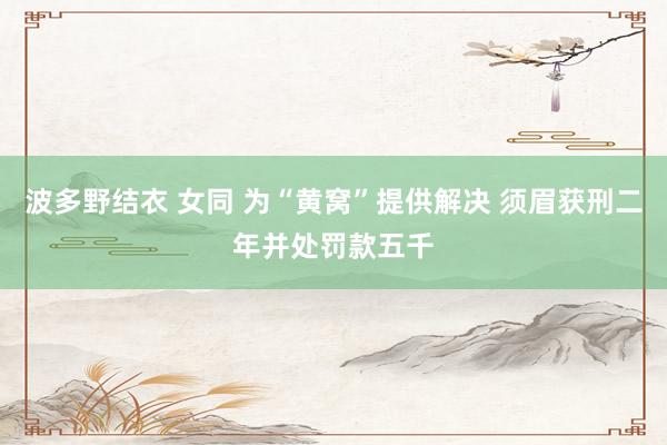 波多野结衣 女同 为“黄窝”提供解决 须眉获刑二年并处罚款五千