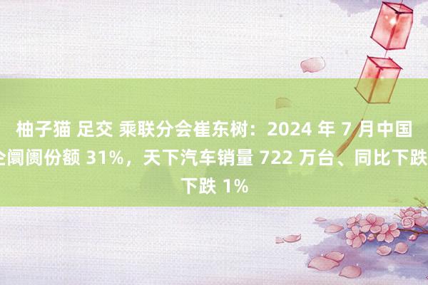 柚子猫 足交 乘联分会崔东树：2024 年 7 月中国车企阛阓份额 31%，天下汽车销量 722 万台、同比下跌 1%