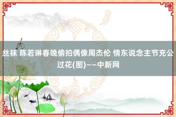丝袜 陈若琳春晚偷拍偶像周杰伦 情东说念主节充公过花(图)——中新网