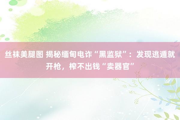 丝袜美腿图 揭秘缅甸电诈“黑监狱”：发现逃遁就开枪，榨不出钱“卖器官”