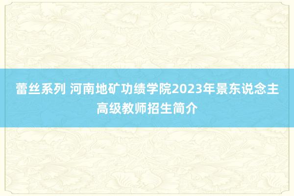 蕾丝系列 河南地矿功绩学院2023年景东说念主高级教师招生简介