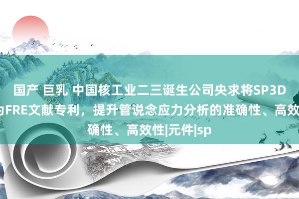 国产 巨乳 中国核工业二三诞生公司央求将SP3D模子调遣为FRE文献专利，提升管说念应力分析的准确性、高效性|元件|sp