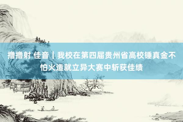 撸撸射 佳音｜我校在第四届贵州省高校锤真金不怕火造就立异大赛中斩获佳绩