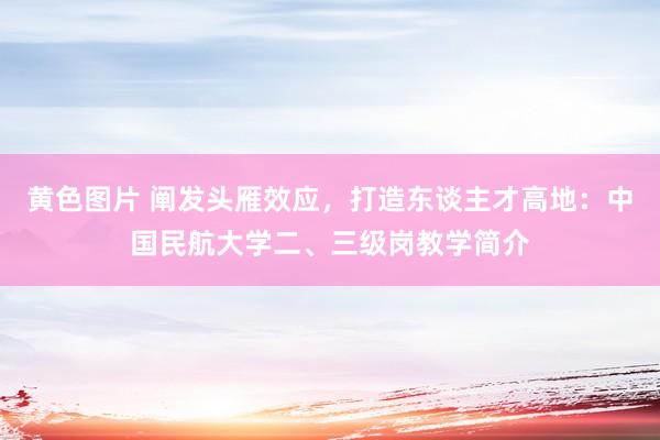 黄色图片 阐发头雁效应，打造东谈主才高地：中国民航大学二、三级岗教学简介