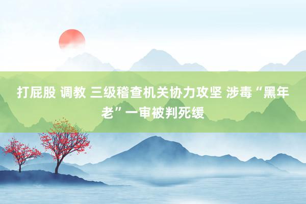 打屁股 调教 三级稽查机关协力攻坚 涉毒“黑年老”一审被判死缓