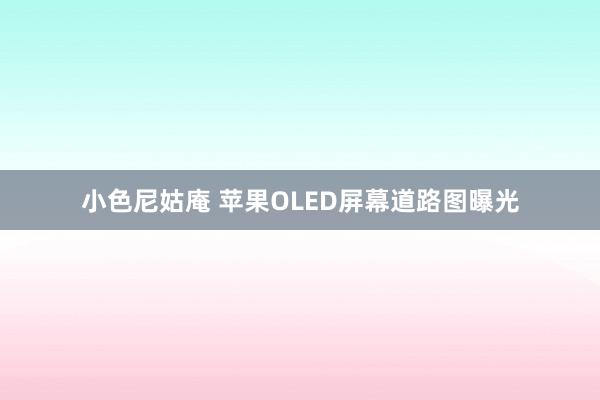 小色尼姑庵 苹果OLED屏幕道路图曝光