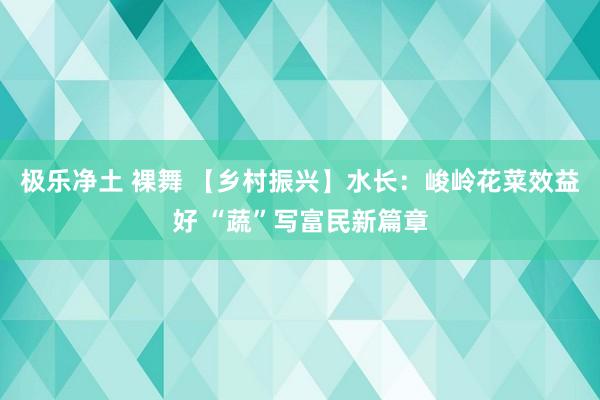 极乐净土 裸舞 【乡村振兴】水长：峻岭花菜效益好 “蔬”写富民新篇章