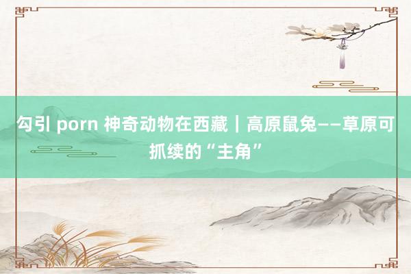 勾引 porn 神奇动物在西藏｜高原鼠兔——草原可抓续的“主角”