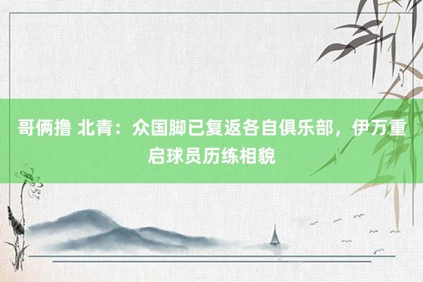 哥俩撸 北青：众国脚已复返各自俱乐部，伊万重启球员历练相貌