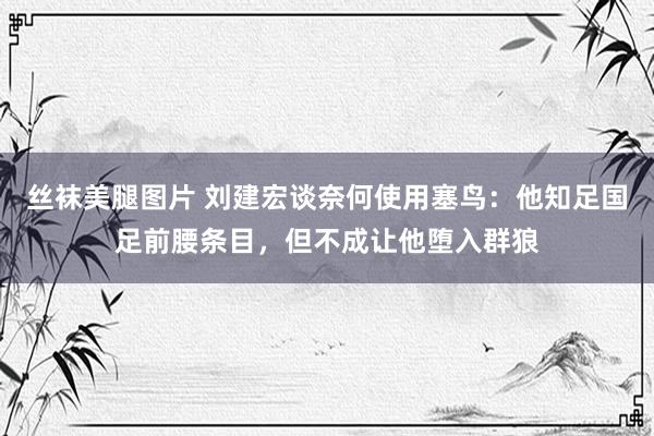 丝袜美腿图片 刘建宏谈奈何使用塞鸟：他知足国足前腰条目，但不成让他堕入群狼